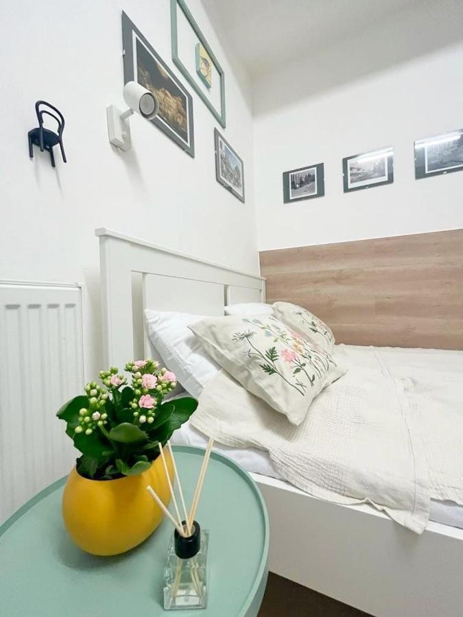 Republicii Small Central Studio Kolozsvár Kültér fotó